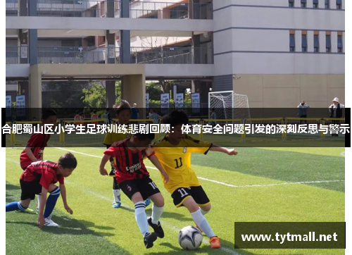 合肥蜀山区小学生足球训练悲剧回顾：体育安全问题引发的深刻反思与警示