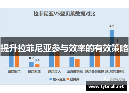 提升拉菲尼亚参与效率的有效策略