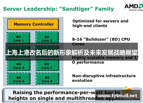 上海上港改名后的新形象解析及未来发展战略展望