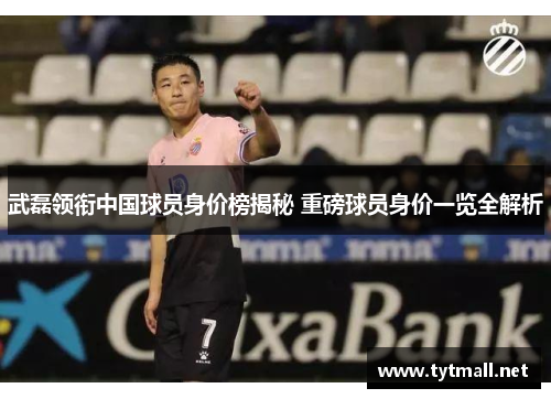 武磊领衔中国球员身价榜揭秘 重磅球员身价一览全解析
