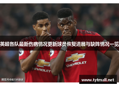 英超各队最新伤病情况更新球员恢复进展与缺阵情况一览