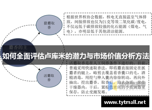 如何全面评估卢库米的潜力与市场价值分析方法